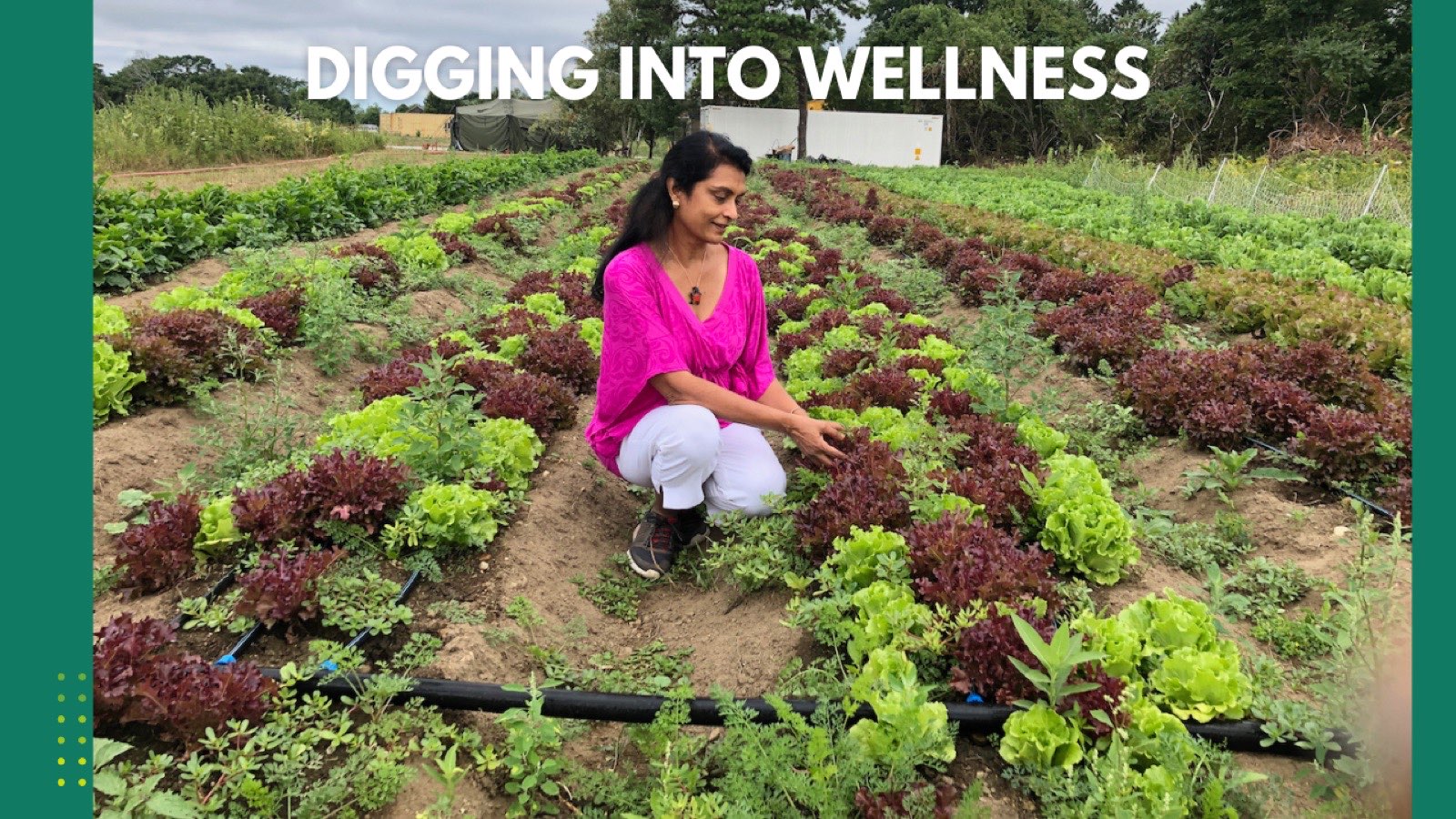 Dr. Saila in her kitchen garden